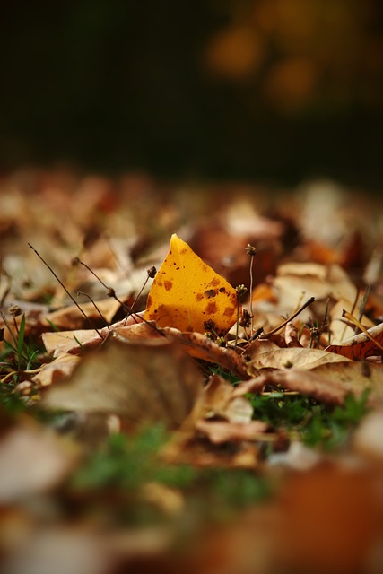 样的好运气 样的好运气