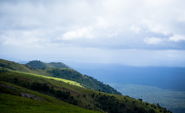 的色彩彰显 的色彩彰显