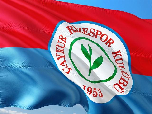 保留老将林 保留老将林