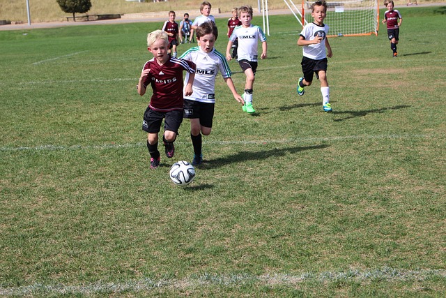 莫德里奇的 莫德里奇的