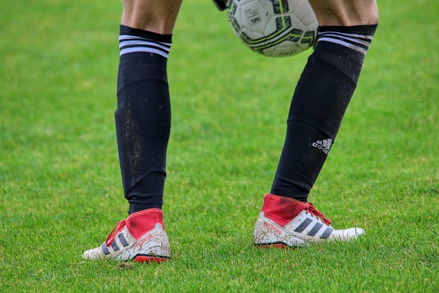 力山东足球 力山东足球