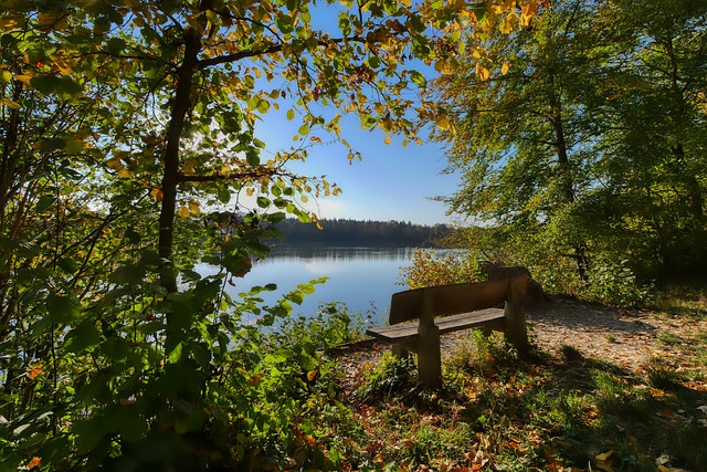 次失利无疑 次失利无疑