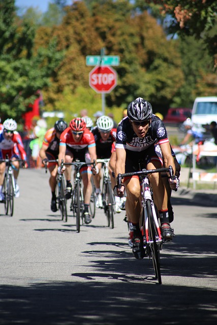 的领头羊地 的领头羊地