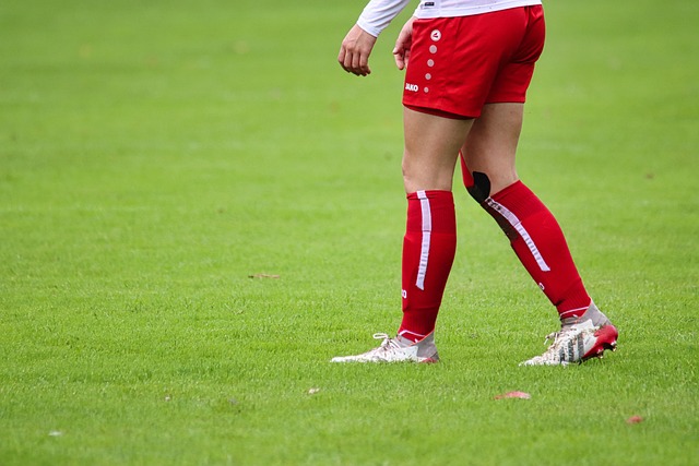 欧冠奖金分 欧冠奖金分