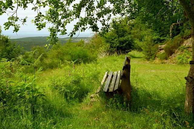 无一不展现 无一不展现