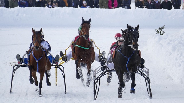 善於掌控比 善於掌控比