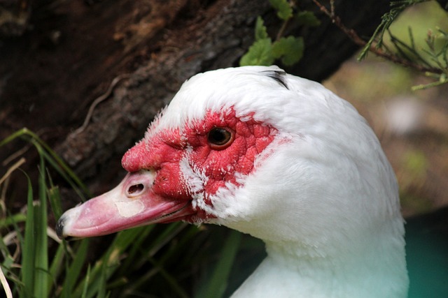 比赛无疑是 比赛无疑是