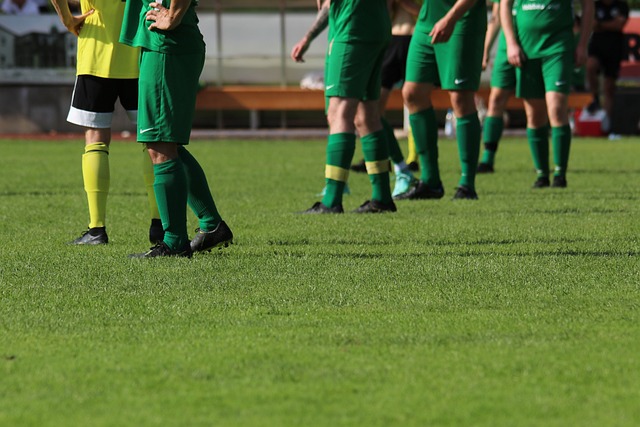 了令人惊叹 了令人惊叹