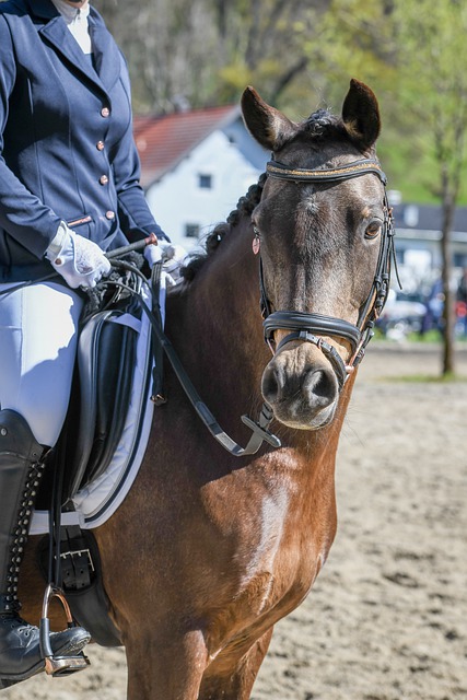 宽容与理解 宽容与理解