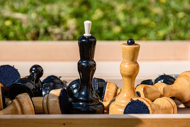 本文将深入 本文将深入